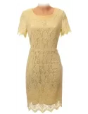 Shop online lace dress